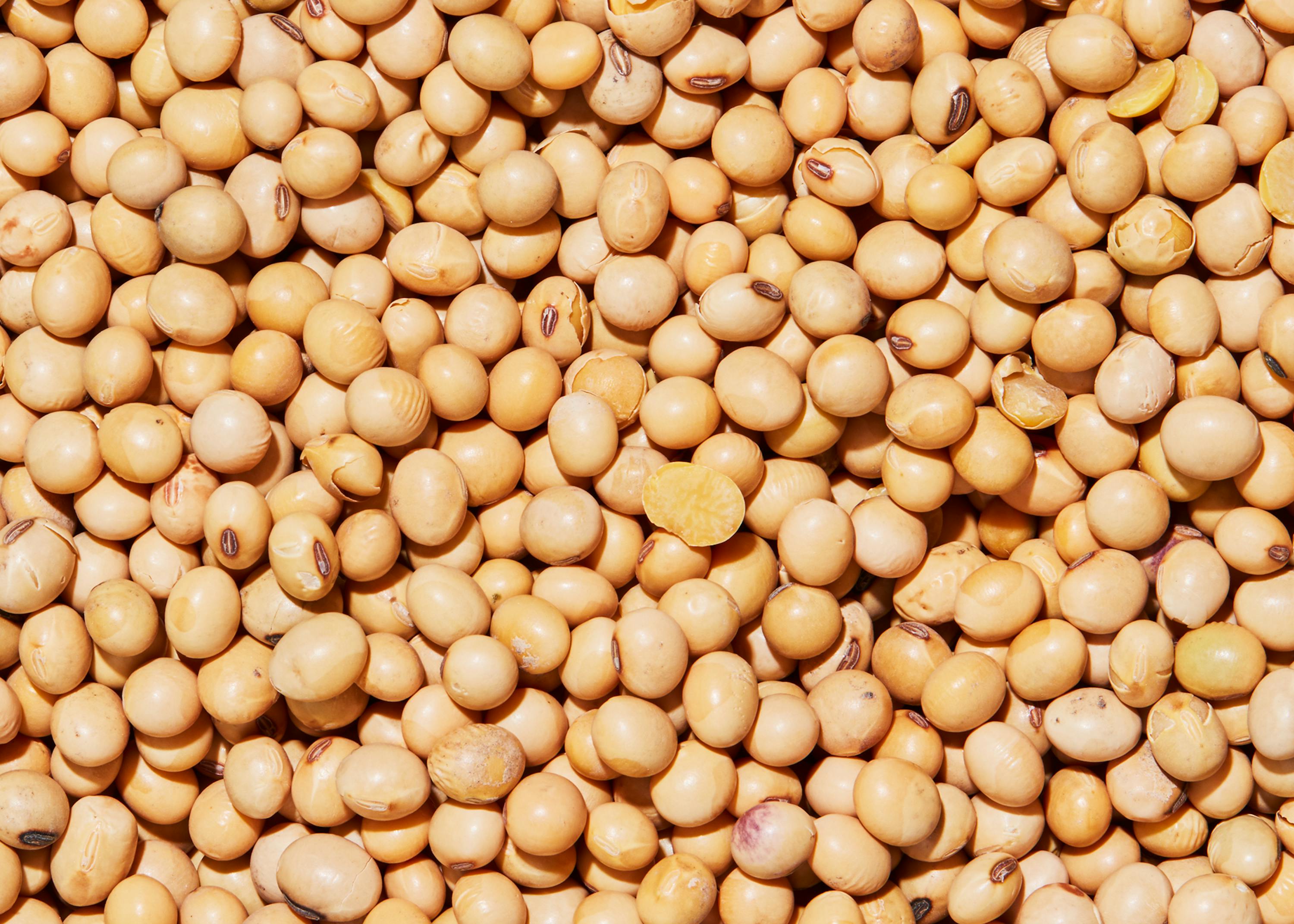 Facts and myths about soybeans
